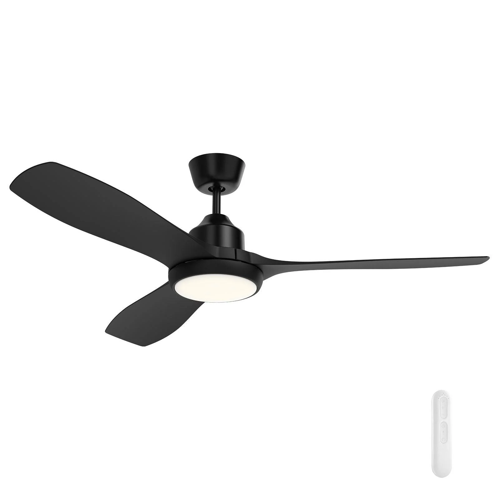 Featured Fans